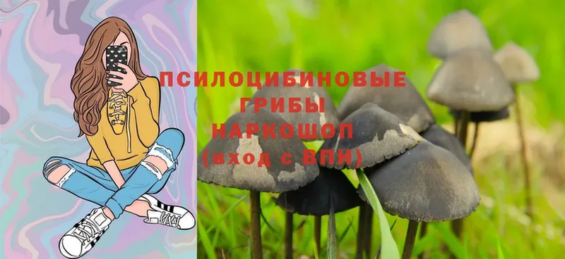 Псилоцибиновые грибы Magic Shrooms  omg рабочий сайт  Пестово 